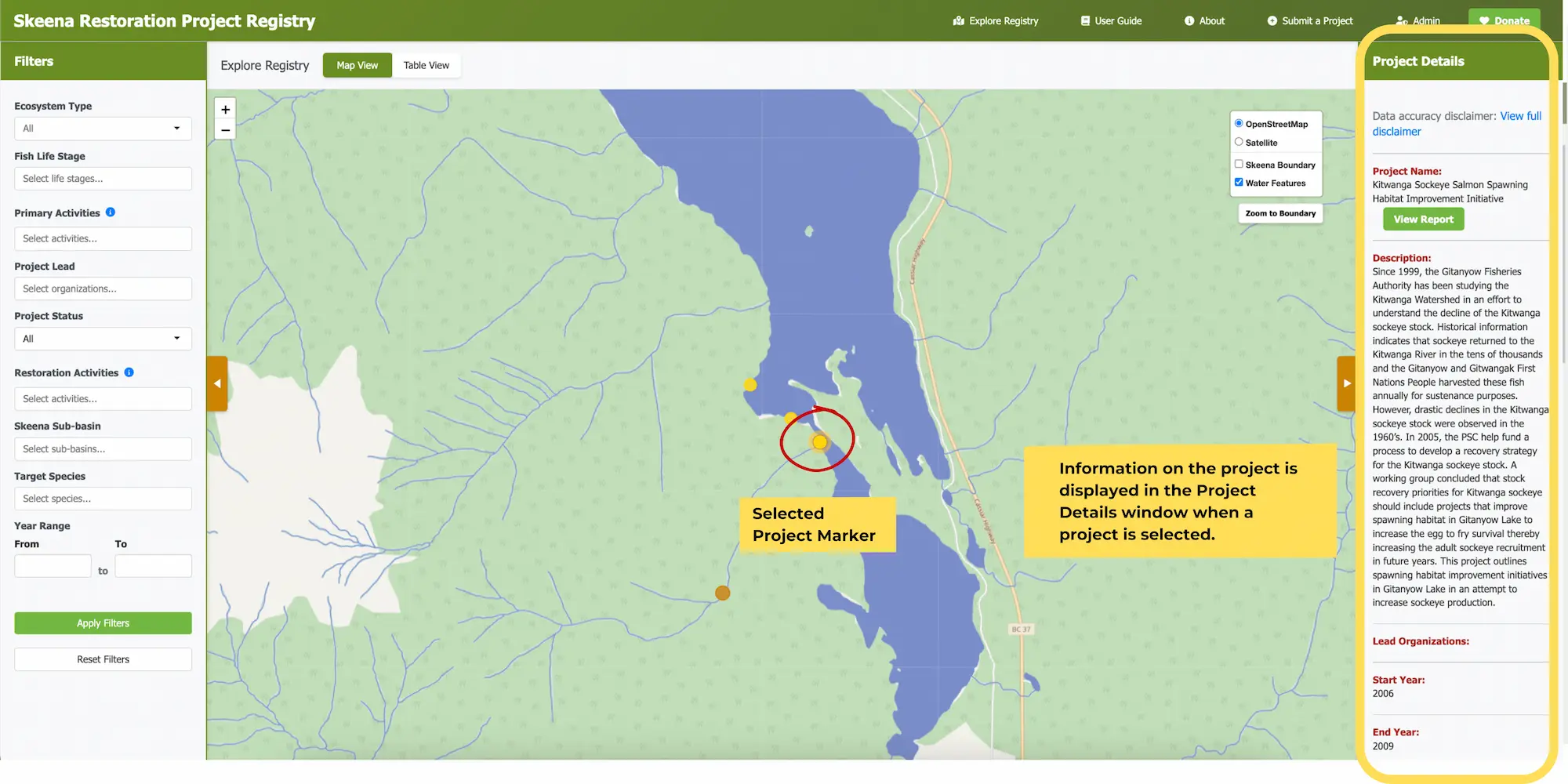 project details window