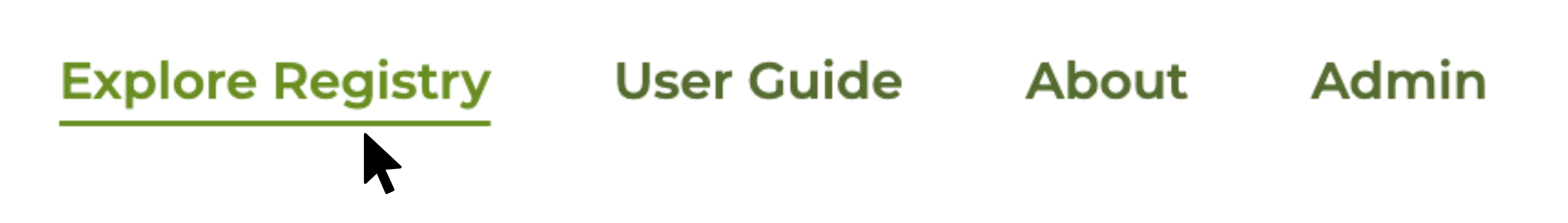 Screenshot of Explore Registry