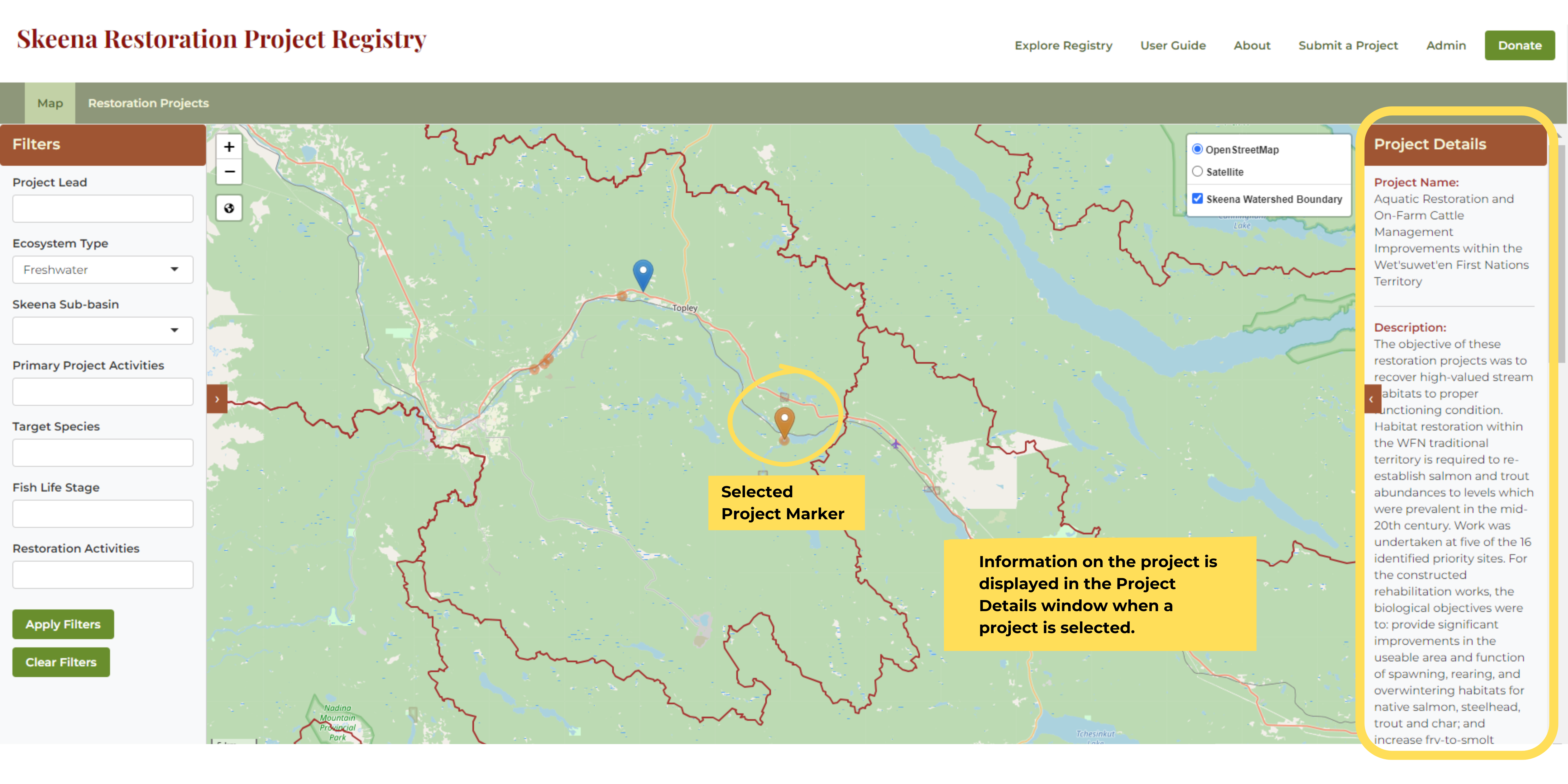 project details window